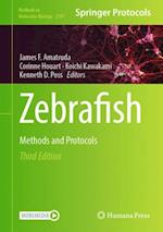 Zebrafish