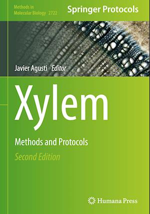 Xylem