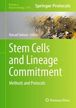 Stem Cells and Lineage Commitment