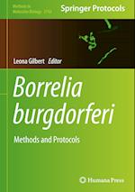 Borrelia burgdorferi