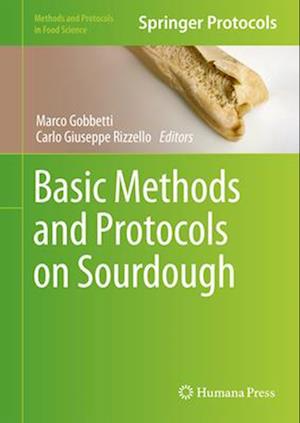 Basic Methods and Protocols on Sourdough