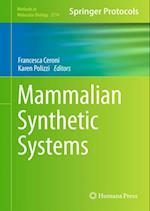 Mammalian Synthetic Systems
