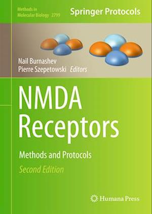 Nmda Receptors