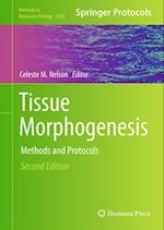 Tissue Morphogenesis