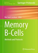 Memory B-Cells