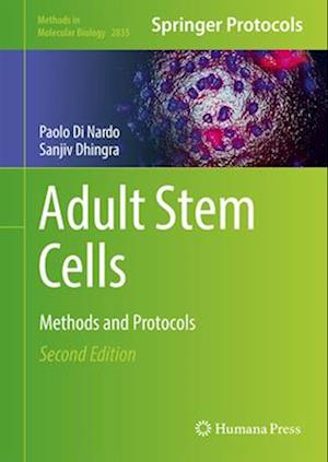 Adult Stem Cells