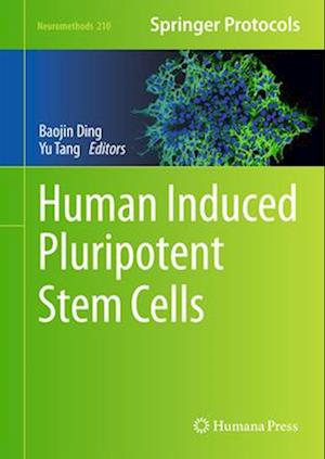 Human Induced Pluripotent Stem Cells