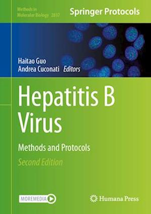 Hepatitis B Virus