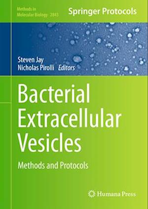 Bacterial Extracellular Vesicles