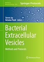 Bacterial Extracellular Vesicles