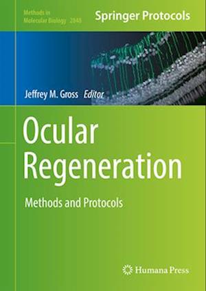 Ocular Regeneration