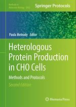 Heterologous Protein Production in Cho Cells