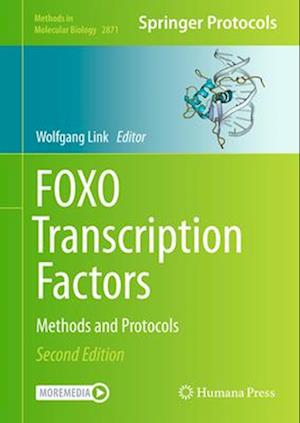 Foxo Transcription Factors