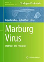 Marburg Virus