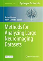 Methods for Analyzing Large Neuroimaging Datasets