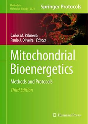 Mitochondrial Bioenergetics