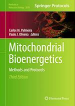 Mitochondrial Bioenergetics