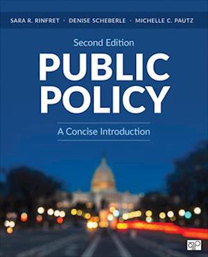 Public Policy : A Concise Introduction