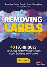 Removing Labels, Grades K-12 : 40 Techniques to Disrupt Negative Expectations About Students and Schools