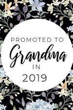 Promoted To Grandma In 2019