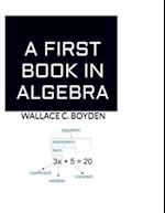 A First Book in Algebra