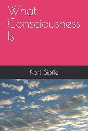 What Consciousness Is