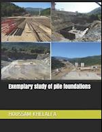 Exemplary study of pile foundations