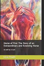 Horse of Fire: The Story of an Extraordinary and Knowing Horse: As told by JJ Luck 