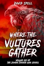 Where the Vultures Gather: Volume Six of the Zombie Terror War Series 