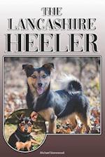 The Lancashire Heeler