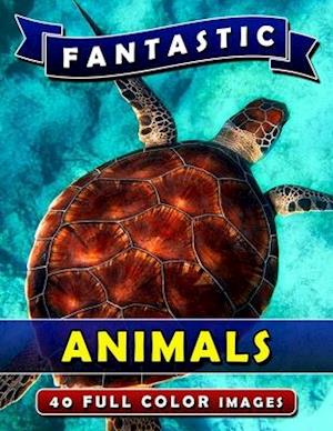 Fantastic Animals