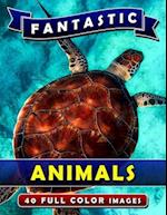 Fantastic Animals