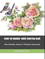 Color By Number Adult Coloring Book