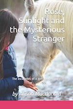 Rose, Sunlight and the Mysterious Stranger