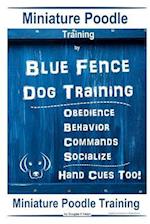 Miniature Poodle By Blue Fence - Dog Training, Obedience - Behavior Commands - Socialize, Hand Cues Too! Miniature Poodle Training