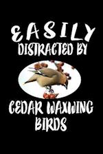 Easily Distracted By Cedar Waxwing Birds
