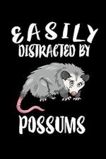 Easily Distracted By Possums