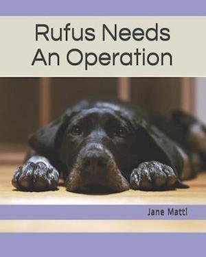 Rufus Needs An Operation