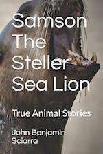 Samson The Steller Sea Lion