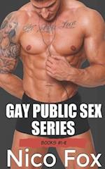 Gay Public Sex Series