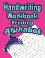 Handwriting Workbook