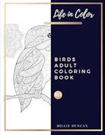 BIRDS ADULT COLORING BOOK (Book 10)