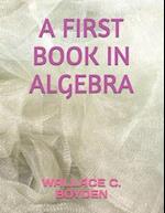 A First Book in Algebra