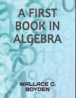 A First Book in Algebra