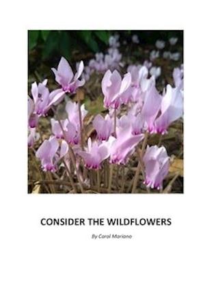 Consider the Wildflowers