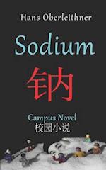 Sodium: Campus Novel - English/Chinese 