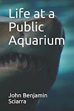 Life at a Public Aquarium