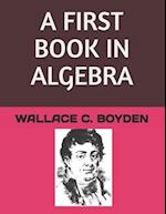 A First Book in Algebra