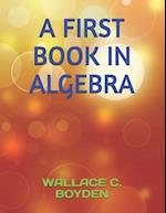 A First Book in Algebra