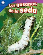 gusanos de la seda